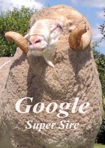 Google Super Sire